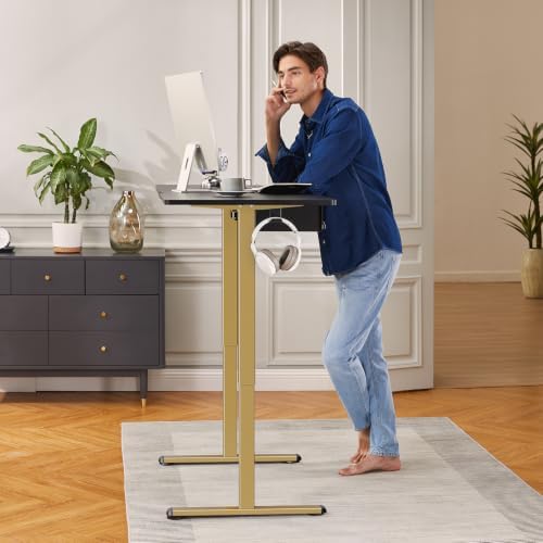 ErGear Electric Standing Desk Legs for 39.4-63.3 inch Desktops, 176 lbs