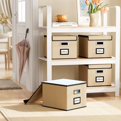 File Organizer Box with Lids, Collapsible File Folder Organizer