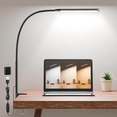 Clamp Lamp for Desk, Eye-Caring LED Clip Light for Home Office