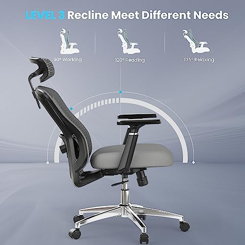 High Back Mesh Office Desk Chair, Adjustable Lumbar & Headrest, 350lb