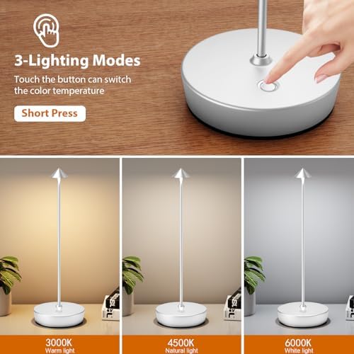 2Pack Rechargeable Cordless Table Lamp, Portable Powered LED Battery 6000mAh Metal USB Desk Lamp, 3 Levels Brightness Light for Restaurants Outdoor (2pack Silver)