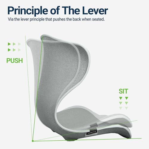 Season Guard Ergonomic Lumbar Support Pillow, Back Pain Posture Corrector