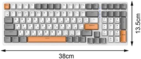 predolo Russian Mechanical Gaming Keyboard 100 Keys, Ergonomics,RGB, Backlit, USB Wired Plug and Play Durable Portable 98% Allocation for PC Laptop, Style E