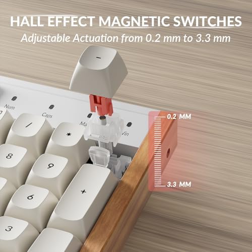 Keychron K10 HE 100% Wireless Hall Effect Keyboard, Silent Red Switch