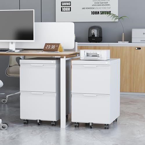 File Cabinet with Lock, 2 Drawer Mobile File Cabinet with Wheels, Metal Vertical File Cabinets for Home Office, Rolling Filing Cabinets Under Desk Storage for Letter/Legal/A4 Files