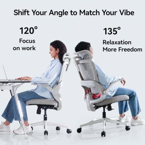 SIHOO B100 SE Ergonomic Mesh Office Chair, Desk Chair with Lumbar Support