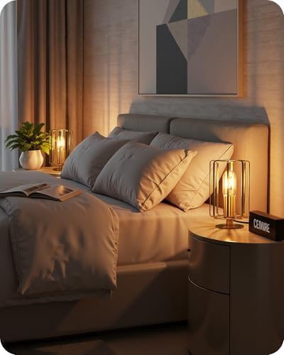 Industrial Table Lamp Set of 2, Small Brass Desk Lamp with Dimmable 2400K Warm Light LED Bulb, Vintage Desk Lamp, Nightstand Lamp for Bedroom, Study, Office, Small Space, Gold D05TLP205