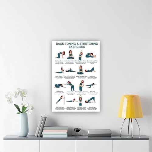 Back Exercises Seated And Standing Back Exercise Upper And Lower Home Workout Chart Gentle No Equipment Exercise Canvas Poster Bedroom Decor Room Decor Unframe 24x36inch