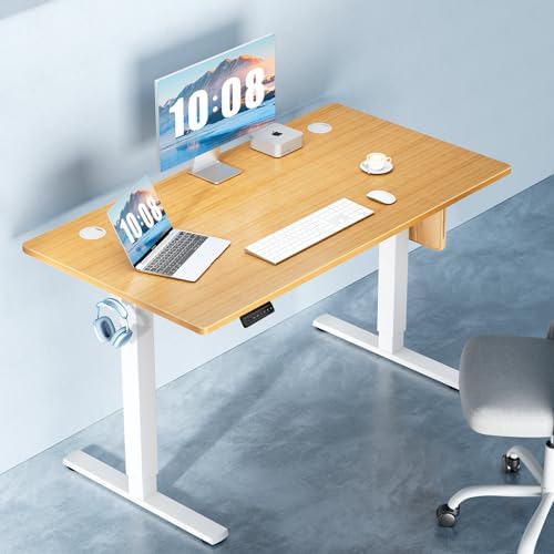 DUMOS 55 Inch Electric Standing Desk, Memory Adjustable Home Office Desk