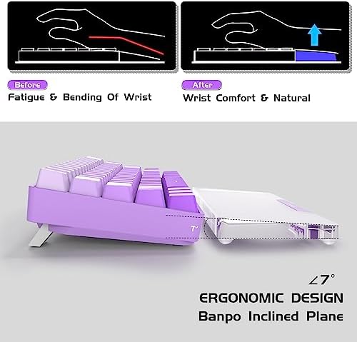 Acrylic Keyboard Wrist Rest - Wrist Support for Keyboard CNC Aluminum Alloy Customized Logo - Keyboard Pad Home & Office - Keyboard Wrist Pad with Anti-Slip Mat for 60% Compact Keyboard,Purple