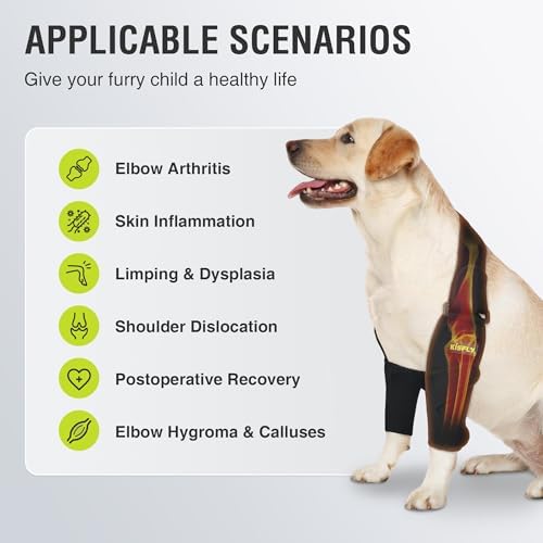 Dog Elbow Brace for Medium Dogs, Shoulder Support & Mobility Relief