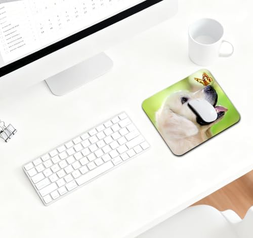 9.5x7.9 Inch Office/Gaming Mouse Pad, Lovely Golden Retriever Dog with Butterfly, Cute Anti-Slip Mat for Desk Decor