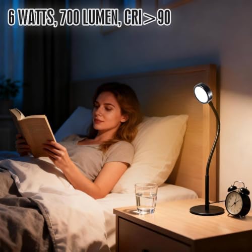 6W LED Desk Lamp with Gooseneck and US Adapter