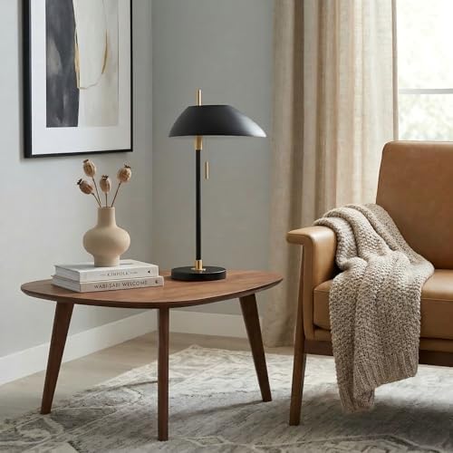 Modern Vintage Black Table Lamp, Industrial Minimalist All-Metal Bedside Lamp with Pull Chain Switch, Decorative Nightstand Lamp for Bedroom, Living Room, Office, E26 Bulb Base