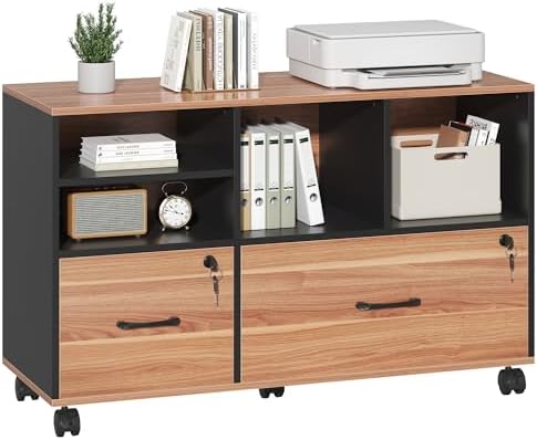 2 Drawer File Cabinet for Home Office, Lockable Rolling Filing Cabinet with Adjustable Shelves, Wood Lateral File Cabinet with Lock, Printer Stand Office Storage Cabinet, Rustic Brown & Black