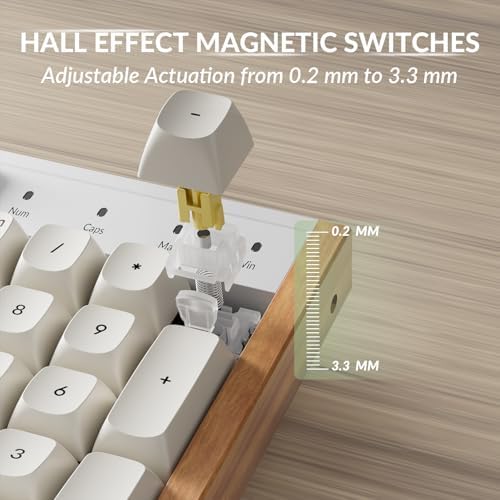 Keychron K10 HE 100% Wireless Hall Effect Keyboard, Silent Banana Switch
