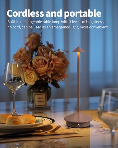 Modern Cordless Table Lamp Set of 2, Brown Portable LED Desk Lamps