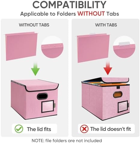 BALEINE File Organizer Box with Lid, Collapsible Hanging File Storage Box