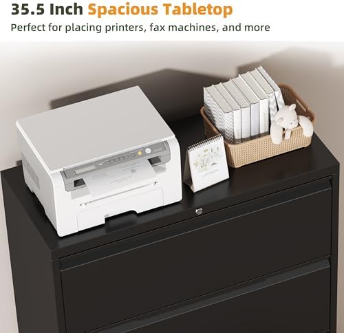 2 Drawer Metal Lateral File Cabinet with Lock for Home Office