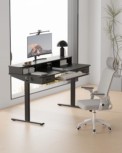 Electric Standing Desk with Keyboard Tray, 63x24 Inches Height Adjustable Stand up Desk with 2 Drawers, Ergonomic Sit to Stand Table with Storage Monitor Stand, Black