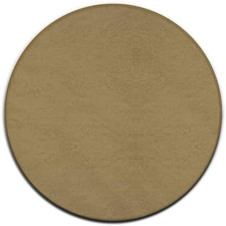 Large Round Area Rug Home Decor Modern Bathroom Rug Kitchen Office Circle Rug for Living Room Sofa Circle Cute Mat Brown, 24inch