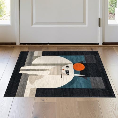 2'x3' Black White Cat Artistic Feline Design Washable Throw Rug