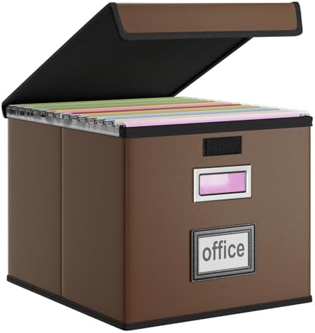 File Organizer Box with Lids, Collapsible File Folder Organizer