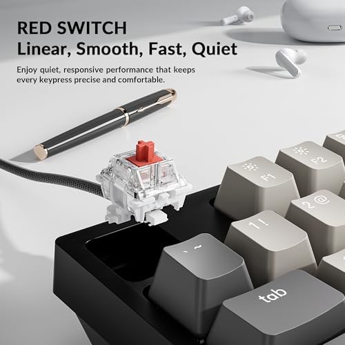 Keychron C1 Pro TKL Custom Wired Mechanical Keyboard, RGB Backlight