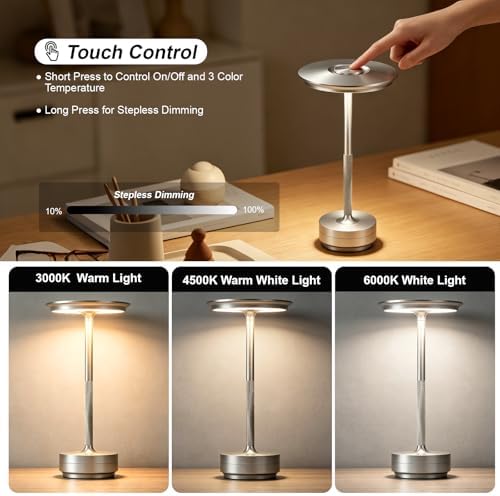 LED Cordless Table Lamp Rechargeable Battery Outdoor Light Silver