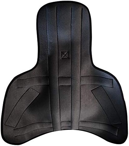 Dyna Taylor's Brace-Spine Support - Universal