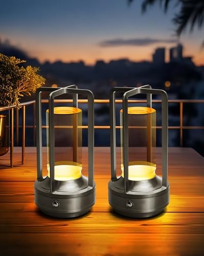 Set of 2 Cordless Table Lamps Rechargeable Desk Lamps Silver