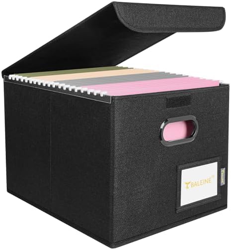 BALEINE File Organizer Box with Lid, Collapsible Hanging File Storage Box