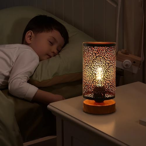 Small Industrial Table Lamps Dimmable, Bedside Lamps for Nightstand,End Table Side Desk lamp with Rustic Black Metal Cage Lampshade for Bedroom, Kids Room Living Room 2700K LED Bulb Included