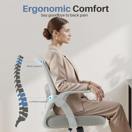 DUMOS Ergonomic Home Office Chair, Lumbar Support Desk Chair