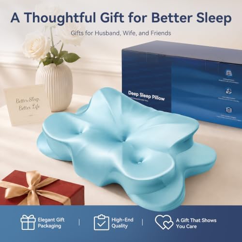 Neck Pillow for Sleeping, Cervical Neck Pillow with 3-Hole Design, Memory Foam Pillow for Side Sleepers, Sleep Pillow for Neck Pain Relief, Gray (1, Blue)