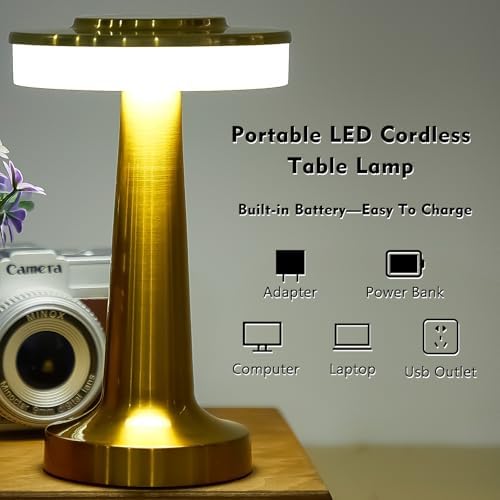 Riakrum 24 Pcs LED Cordless Table Lamp Bulk Rechargeable,Gold