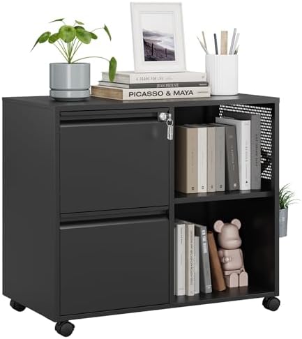 MIIIKO 2 Drawer File Cabinet with Lock, Metal Lateral Rolling Printer Stand Filing Cabinets with Drawers for Home Office,A4, Letter Size File Folders(Black)