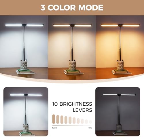 Voncerus LED Desk Lamp for Home Office, Double Head Desk Light with Clamp