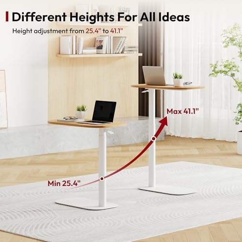 SANODESK 24''Standing Desk Pneumatic Height Adjustable Mobile Overbed Table