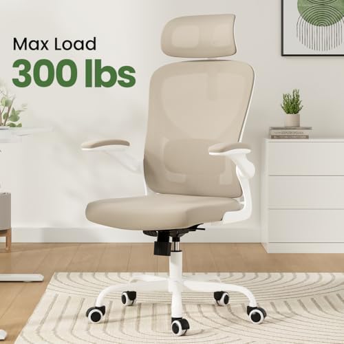 Ergonomic Office Chair, High Back Mesh Desk Chair with Headrest