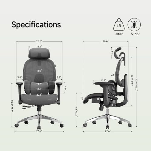 X19 Ergonomic Office Chair, 3-Zone Lumbar for Back Pain Relief