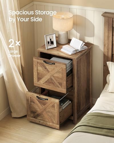 VASAGLE File Cabinet, 2-Drawer Filing Cabinet for Home Office
