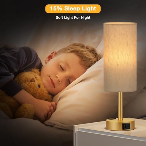 Touch Bedside Table Lamps Set of 2 - Bedroom Lamp with USB A+C, AC Outlet