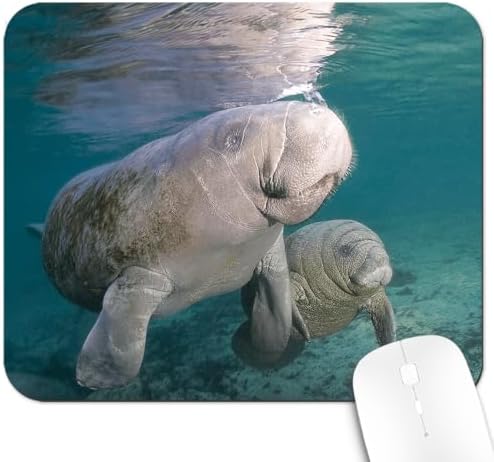 9.5x7.9 Inch Office/Gaming Mouse Pad, Florida Manatee Mother and Calf Marine Mammal Gentle Sea Cow, Cute Anti-Slip Mat for Desk Decor