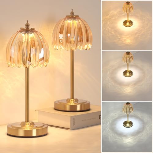 Shenmoyl Set of 2 Tulip Table Lamp with 5000mAh Battery & Touch Control, Cordless Table Lamp with 3 Colors, Dimmable Rechargeable Table Lamps for Bedroom, Living Room, Entryways (Amber Tulip)
