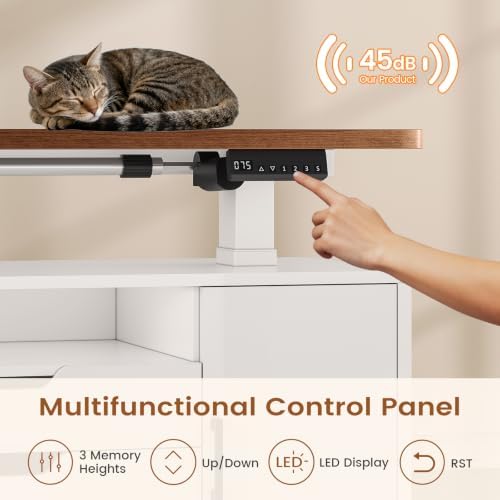 SEDETA Modern L Shaped Executive Electric Standing Desk with 4 Drawers