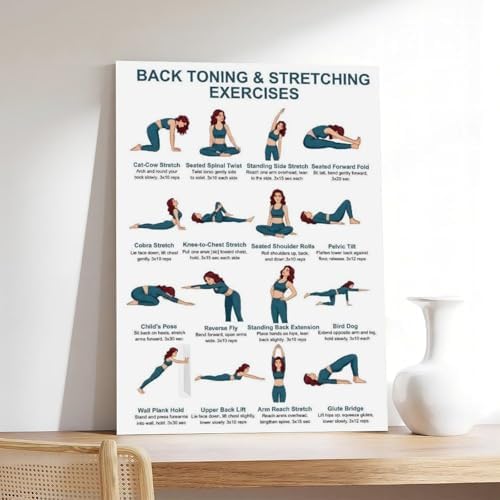 Back Exercises Seated And Standing Back Exercise Upper And Lower Home Workout Chart Gentle No Equipment Exercise Canvas Poster Bedroom Decor Room Decor Frame 20x30inch