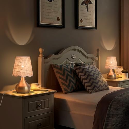 Ziqqeelam Gold Small Bedside Table Lamp Touche Control 3-Way Dimmable Brass Mini Table Lamps for Nightstand, Rattan Shade Small Table Lamps for Small Spaces for Kitchen Counter, Bookshelf, Bedroom
