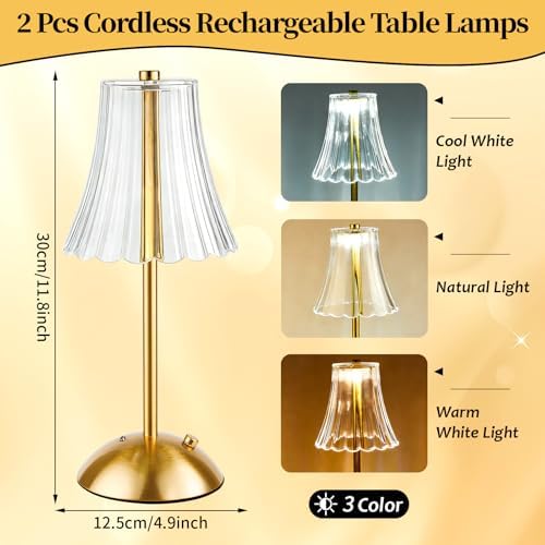 2 Pcs Cordless Table Lamp Rechargeable Touch Lamp, Gold Flower