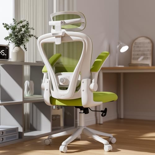 SeekFancy Ergonomic Office Chair with Memory Foam, Computer Desk Chair